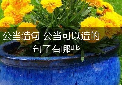 公当造句 公当可以造的句子有哪些
