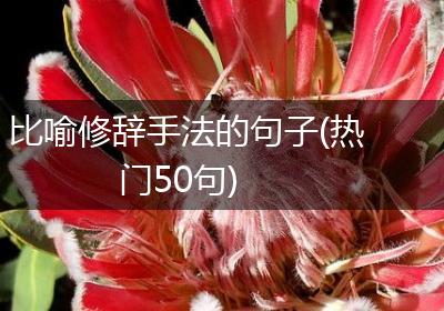 比喻修辞手法的句子(热门50句)