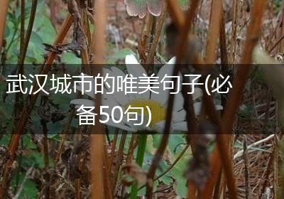 武汉城市的唯美句子(必备50句)