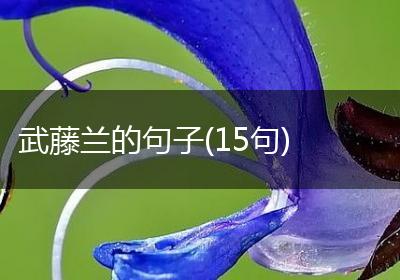 武藤兰的句子(15句)