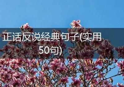 正话反说经典句子(实用50句)