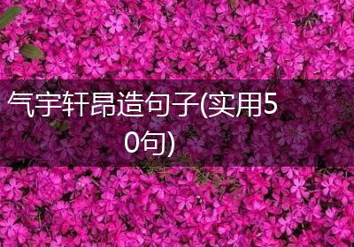 气宇轩昂造句子(实用50句)