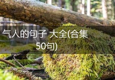 气人的句子 大全(合集50句)