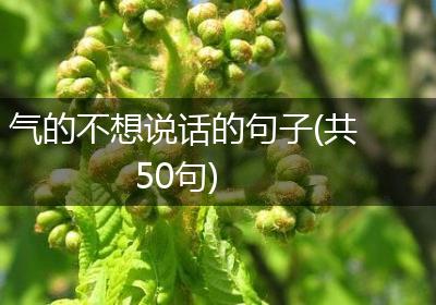 气的不想说话的句子(共50句)