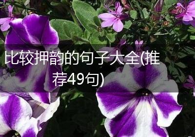 比较押韵的句子大全(推荐49句)