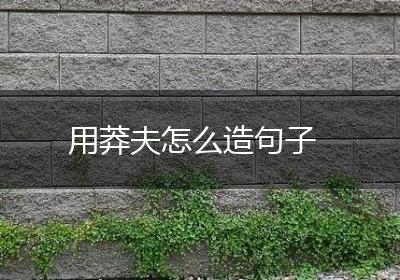 用莽夫怎么造句子