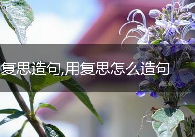 复思造句,用复思怎么造句