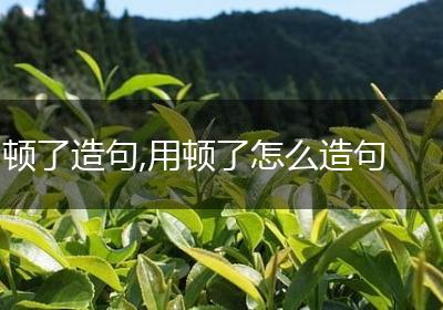 顿了造句,用顿了怎么造句