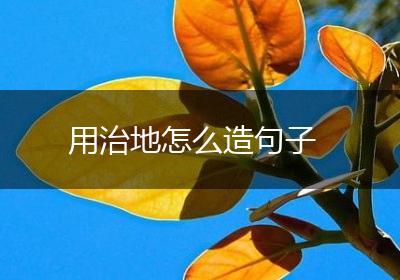 用治地怎么造句子