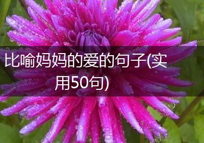 比喻妈妈的爱的句子(实用50句)