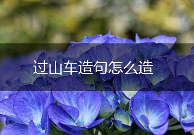 过山车造句怎么造