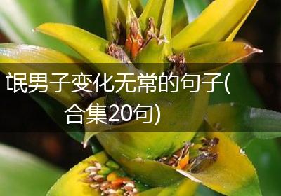 氓男子变化无常的句子(合集20句)