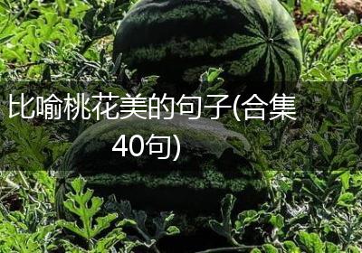比喻桃花美的句子(合集40句)