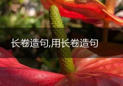 长卷造句,用长卷造句