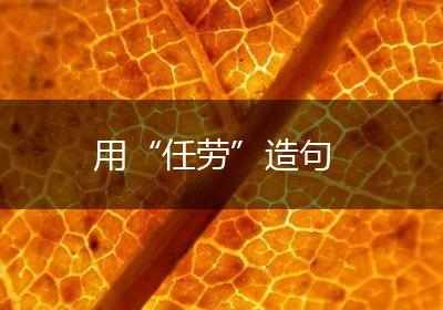 用“任劳”造句