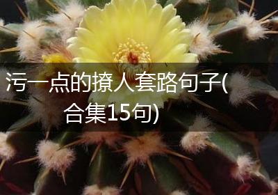 污一点的撩人套路句子(合集15句)