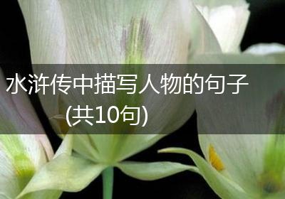 水浒传中描写人物的句子(共10句)