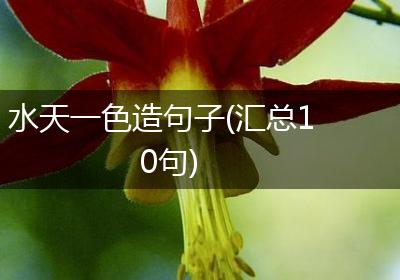 水天一色造句子(汇总10句)