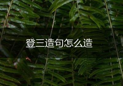 登三造句怎么造