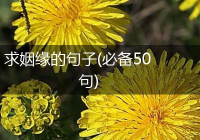 求姻缘的句子(必备50句)