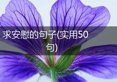 求安慰的句子(实用50句)