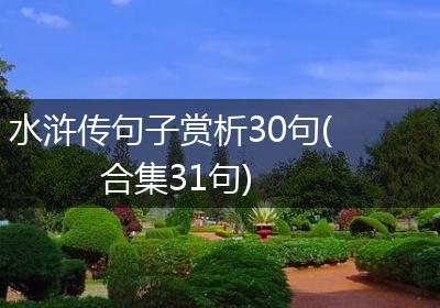 水浒传句子赏析30句(合集31句)