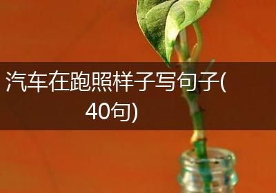 汽车在跑照样子写句子(40句)