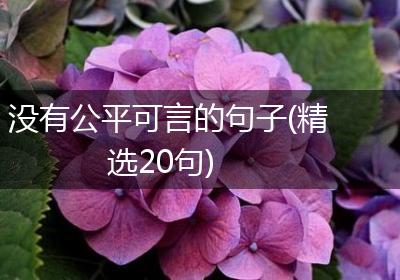 没有公平可言的句子(精选20句)