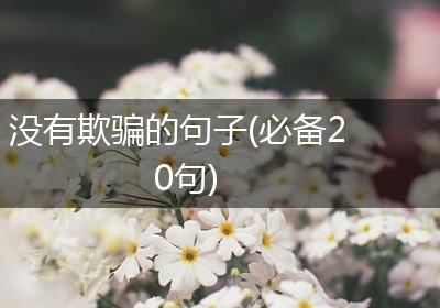 没有欺骗的句子(必备20句)