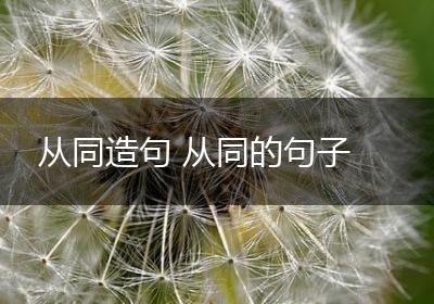 从同造句 从同的句子