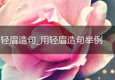 轻眉造句_用轻眉造句举例