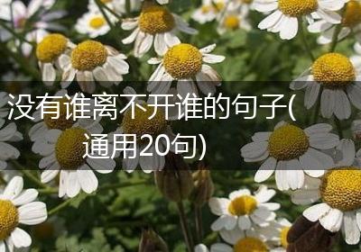 没有谁离不开谁的句子(通用20句)