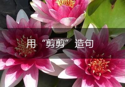 用“剪剪”造句
