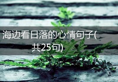 海边看日落的心情句子(共25句)