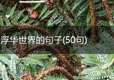 浮华世界的句子(50句)