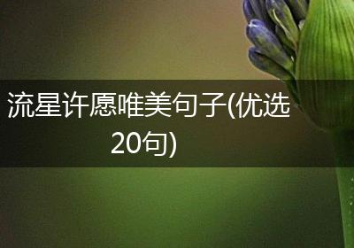 流星许愿唯美句子(优选20句)