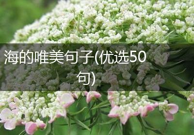 海的唯美句子(优选50句)