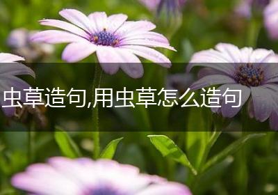 虫草造句,用虫草怎么造句