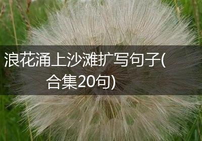 浪花涌上沙滩扩写句子(合集20句)