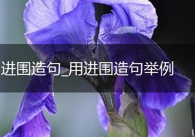 进围造句_用进围造句举例