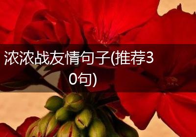 浓浓战友情句子(推荐30句)