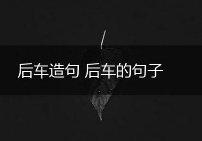 后车造句 后车的句子
