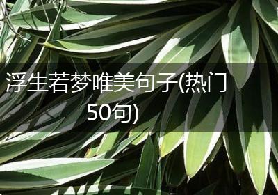 浮生若梦唯美句子(热门50句)
