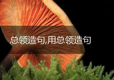 总领造句,用总领造句