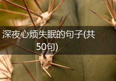 深夜心烦失眠的句子(共50句)