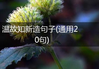 温故知新造句子(通用20句)