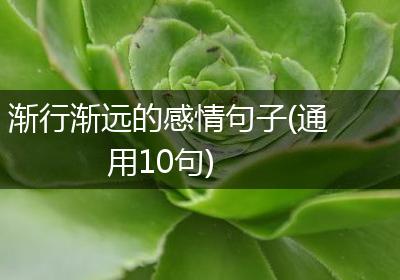 渐行渐远的感情句子(通用10句)