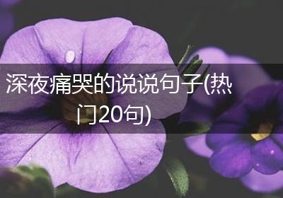 深夜痛哭的说说句子(热门20句)