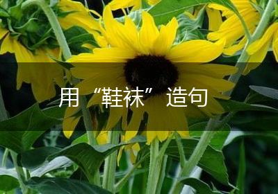 用“鞋袜”造句