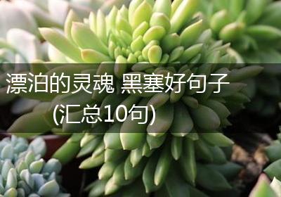 漂泊的灵魂 黑塞好句子(汇总10句)
